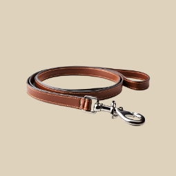Category image: Pet Leashes